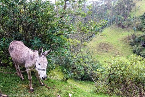 Sigchos to Isinlivi Ecuador Quilotoa Loop